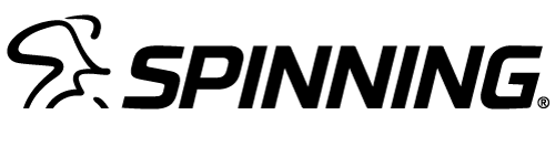 Spinning logo